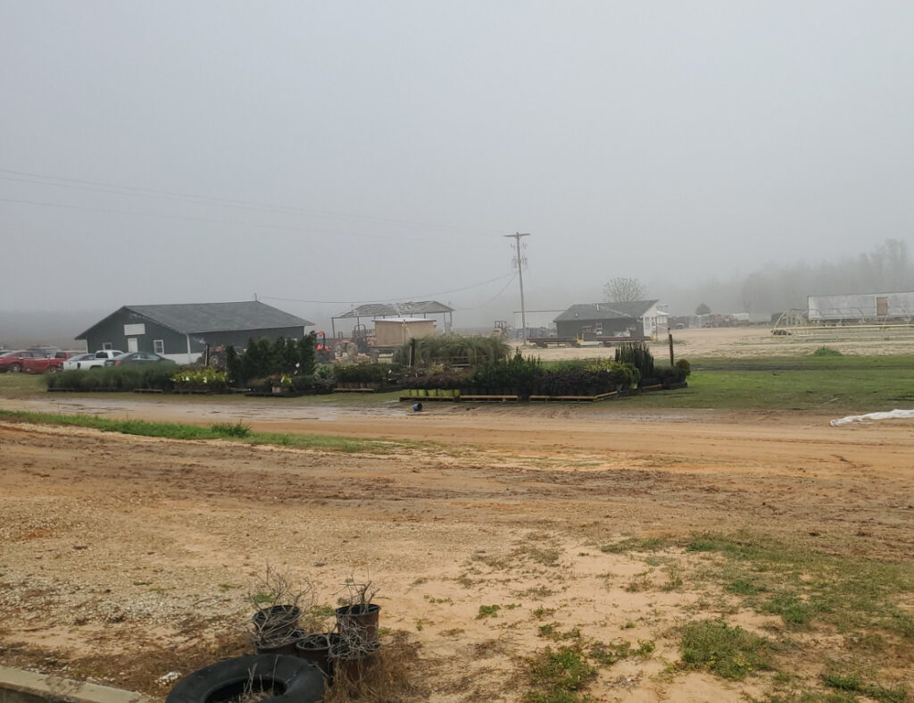 A foggy Gadsden County farm property with a nursery, outbuildings, and potted plants, the rural landscape Gadsden County Insurance is built to cover.