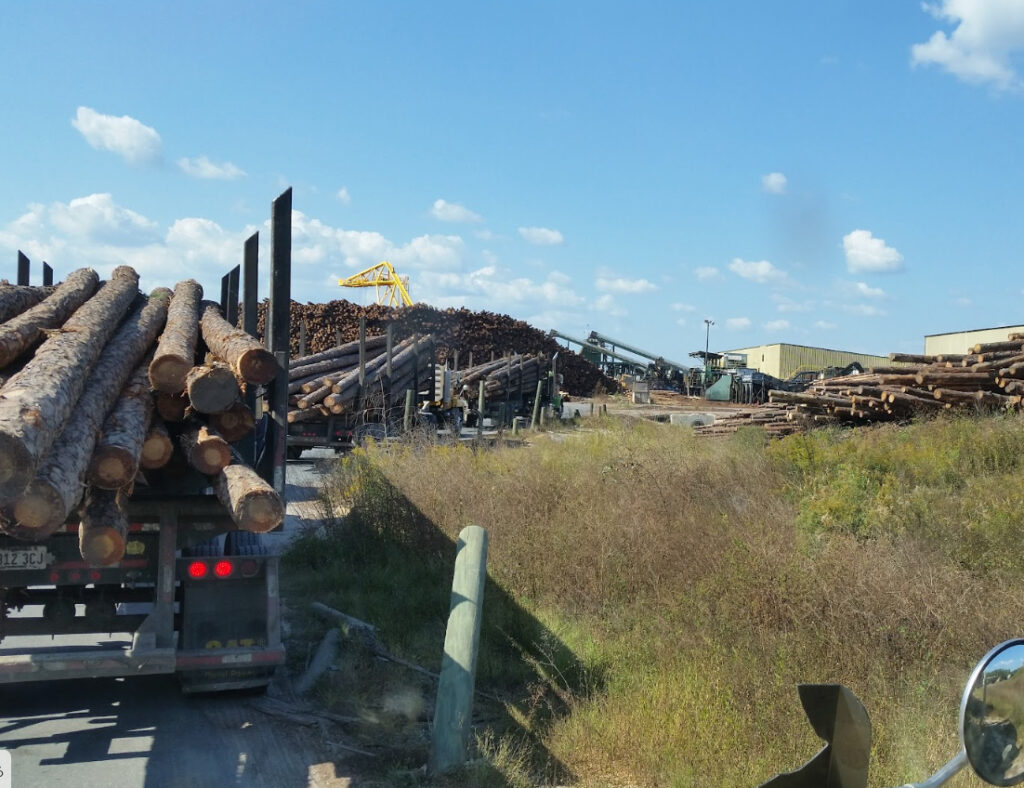 A logging truck loaded with timber near a lumber yard in Liberty County, the timberland economy 3A Allied Insurance covers with Liberty County Insurance.