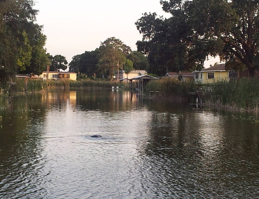 A quiet lakeside canal lined with homes and trees in Okeechobee County, the rural property 3A Allied Insurance covers with Okeechobee County Insurance.