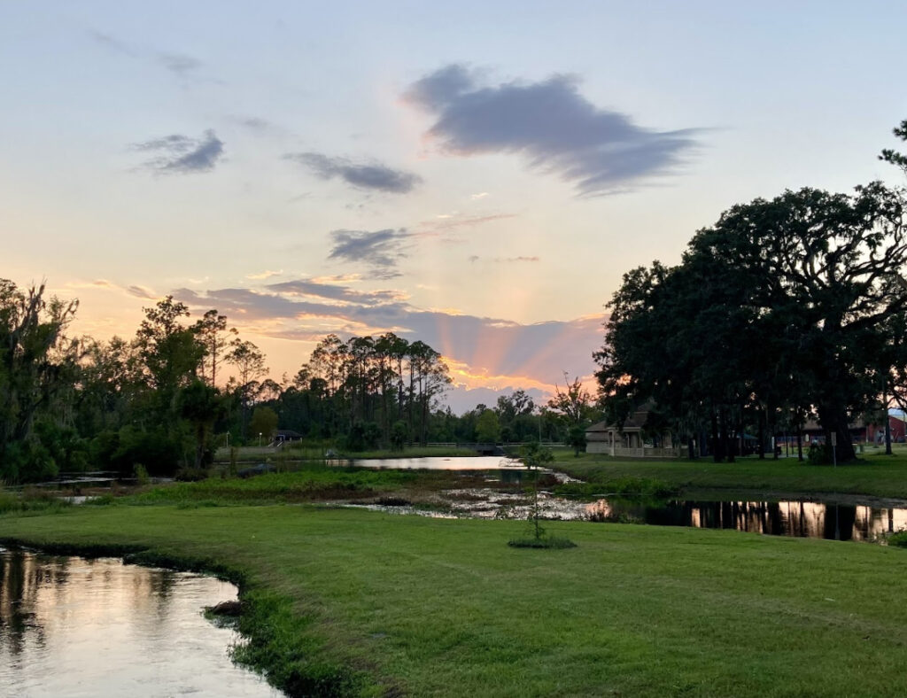A pond and wooded grounds at sunset in Taylor County, the rural waterfront landscape 3A Allied Insurance protects with Taylor County Insurance.