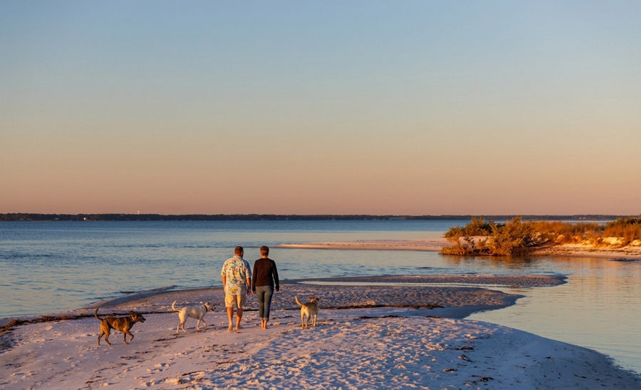 A couple walks their two dogs along a quiet Big Bend Florida shoreline at sunset, reflecting the coastal communities covered by Big Bend Insurance from 3A Allied.