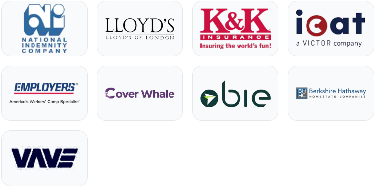 Logos of Excess & Surplus lines market that 3A Allied Insurance accesses for complex Florida coverage needs.